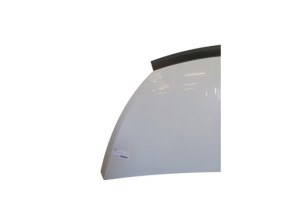 Capot RENAULT TRAFIC 3 COURT Photo n°8