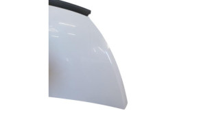 Capot RENAULT TRAFIC 3 COURT Photo n°9