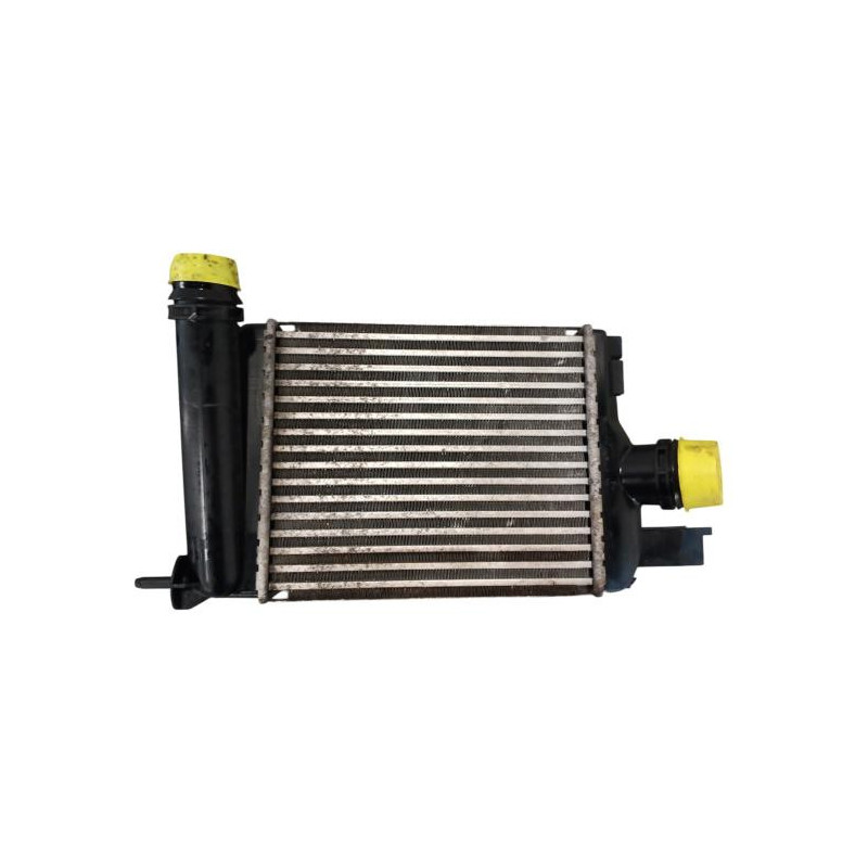 Echangeur air (Intercooler) DACIA DUSTER 1 Photo n°1
