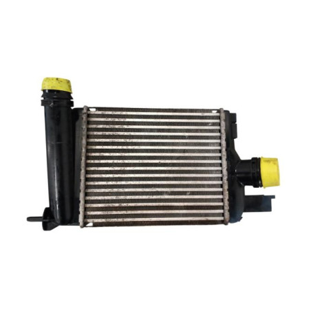 Echangeur air (Intercooler) DACIA DUSTER 1
