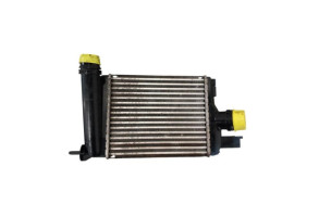 Echangeur air (Intercooler) DACIA DUSTER 1 Photo n°1
