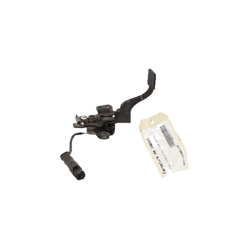 Fermeture de capot CITROEN DS5 Photo n°1