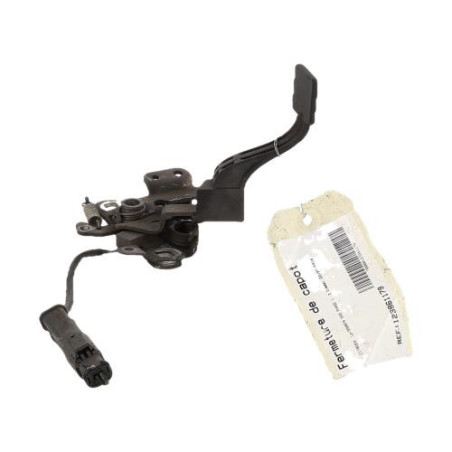 Fermeture de capot CITROEN DS5