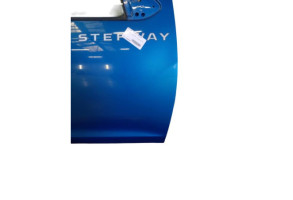 Porte avant droit DACIA SANDERO 2 Photo n°5