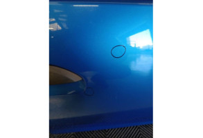 Porte avant droit DACIA SANDERO 2 Photo n°6