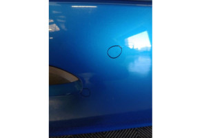 Porte avant droit DACIA SANDERO 2 Photo n°8