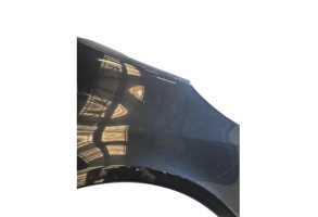 Aile avant droit PEUGEOT 1007 Photo n°1