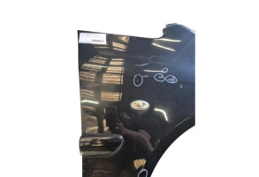 Aile avant droit PEUGEOT 1007 Photo n°6