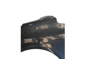 Aile avant gauche PEUGEOT 1007 Photo n°2