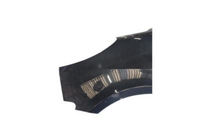 Aile avant gauche PEUGEOT 1007 Photo n°3