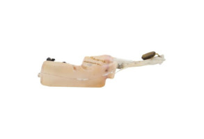 Vase de lave glace RENAULT CLIO 3 Photo n°3