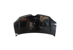 Capot RENAULT TWINGO 3 Photo n°6