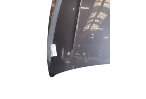 Capot VOLKSWAGEN POLO 6 Photo n°2