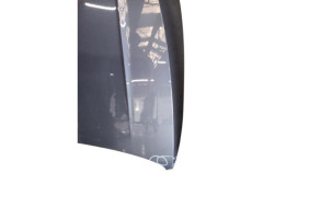 Capot VOLKSWAGEN POLO 6 Photo n°4