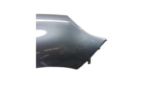 Aile avant droit RENAULT SCENIC 3 Photo n°5