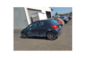 Custode arriere gauche PEUGEOT 207 Photo n°8