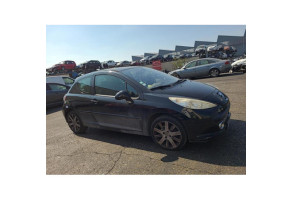 Custode arriere gauche PEUGEOT 207 Photo n°11
