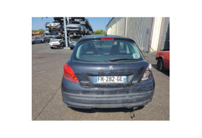 Custode arriere gauche PEUGEOT 207 Photo n°12