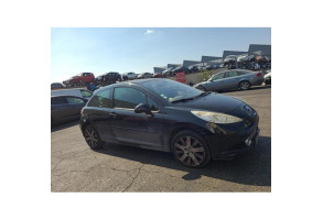Custode arriere gauche PEUGEOT 207 Photo n°13