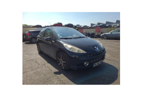 Custode arriere gauche PEUGEOT 207 Photo n°15