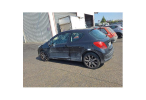 Custode arriere gauche PEUGEOT 207 Photo n°19