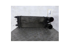 Echangeur air (Intercooler) PEUGEOT 508 1 Photo n°1