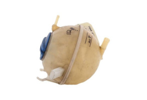 Vase d'expansion AUDI A3 2 Photo n°4