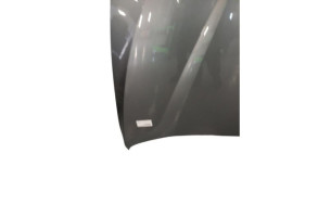 Capot BMW X1 E84 Photo n°1