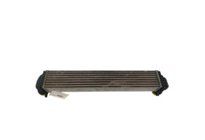 Echangeur air (Intercooler) VOLKSWAGEN POLO 6 Photo n°1