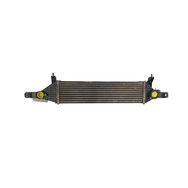 Echangeur air (Intercooler) NISSAN QASHQAI 1 Photo n°1