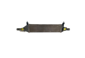 Echangeur air (Intercooler) NISSAN QASHQAI 1 Photo n°1