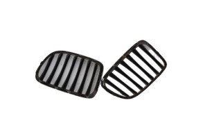 Calandre BMW X1 E84 Photo n°3