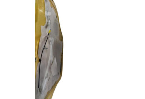 Porte avant gauche RENAULT TRAFIC 2 Photo n°5