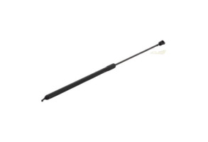 Verin de capot RENAULT MEGANE 3 Photo n°2