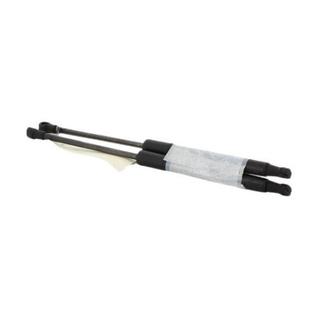 Verin de capot BMW X1 E84