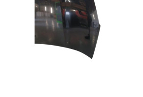 Capot PEUGEOT 4007 Photo n°4