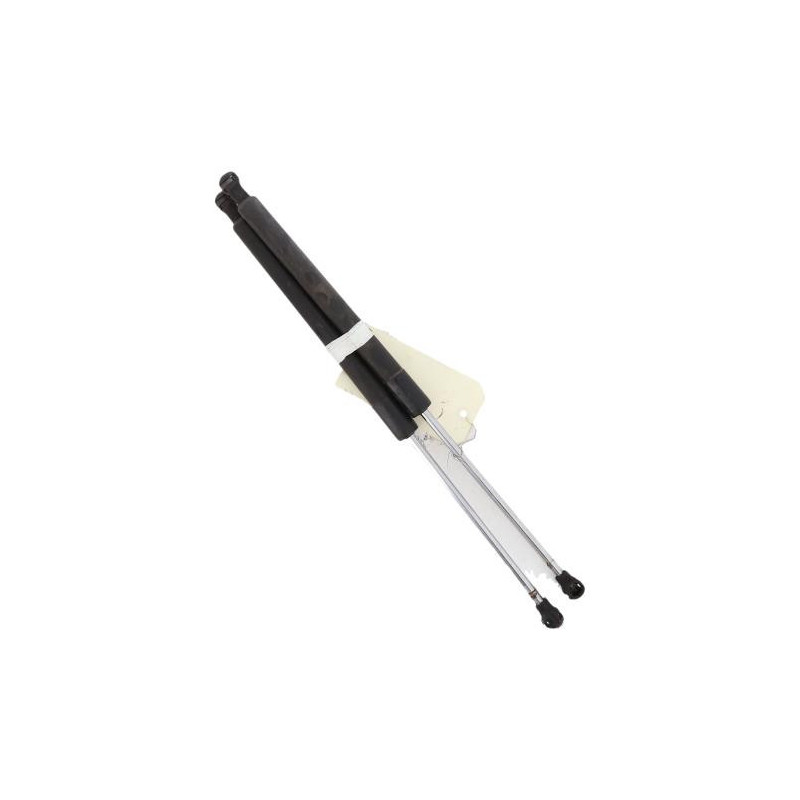 Verin de coffre RENAULT CLIO 3 Photo n°1