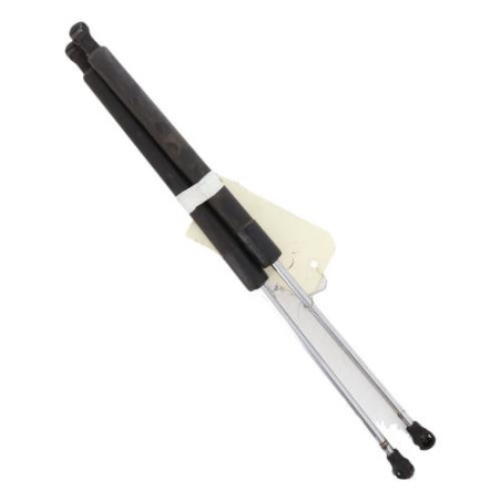 Verin de coffre RENAULT CLIO 3