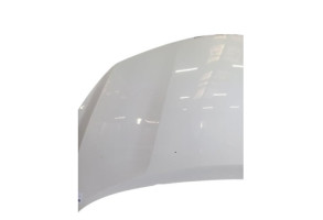 Capot NISSAN NOTE 2 Photo n°1