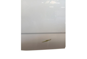 Porte arriere droit FIAT PANDA 3 Photo n°7