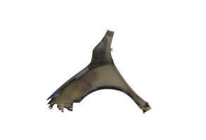 Aile avant droit NISSAN JUKE 1 Photo n°1