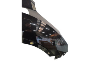 Aile avant droit NISSAN JUKE 1 Photo n°2
