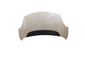 Capot FIAT 500L Photo n°1