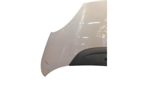 Capot FIAT 500L Photo n°2