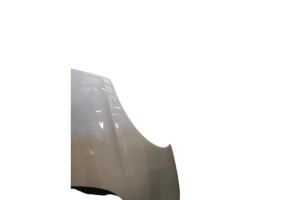 Capot FIAT 500L Photo n°8