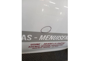 Porte avant gauche RENAULT ZOE 1 Photo n°1