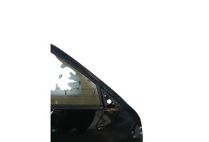 Porte avant droit NISSAN JUKE 1 Photo n°2