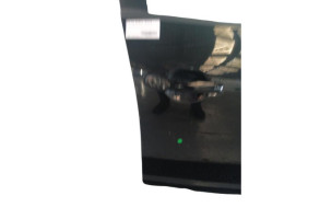 Porte avant droit NISSAN JUKE 1 Photo n°4