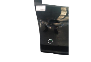 Porte avant droit NISSAN JUKE 1 Photo n°10