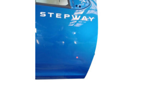 Porte avant droit DACIA SANDERO 2 Photo n°5